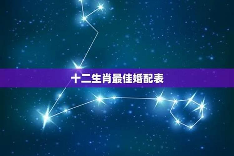 属龙的男女属相婚配表大全？