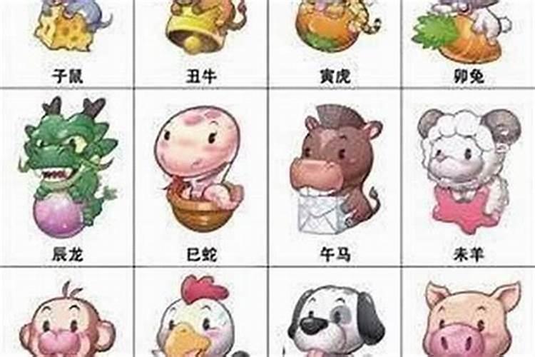 属龙最佳婚配前十名属相