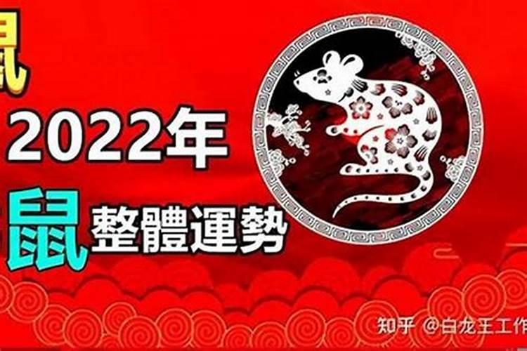 96年的鼠2025年婚姻与命运