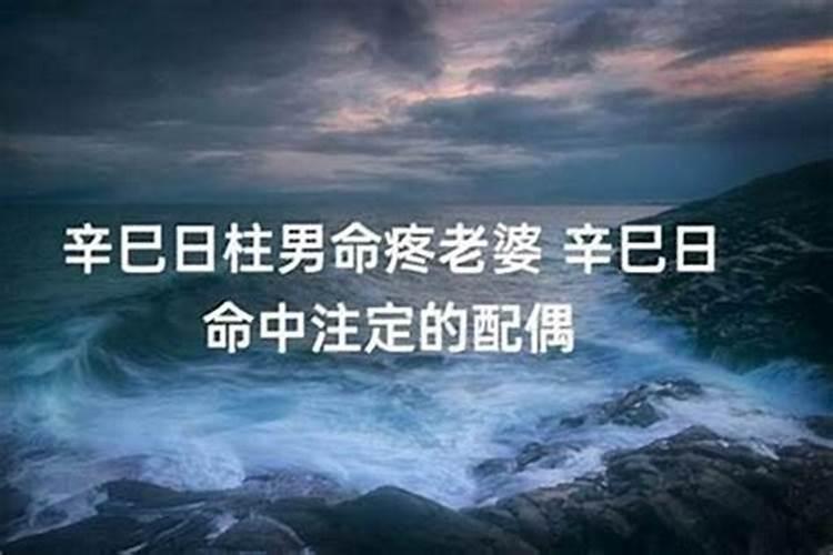 丙戌日柱看配偶另一半 最适合的婚配日柱？