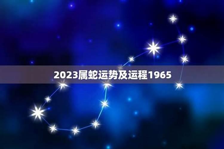 65年蛇2025年每月运势