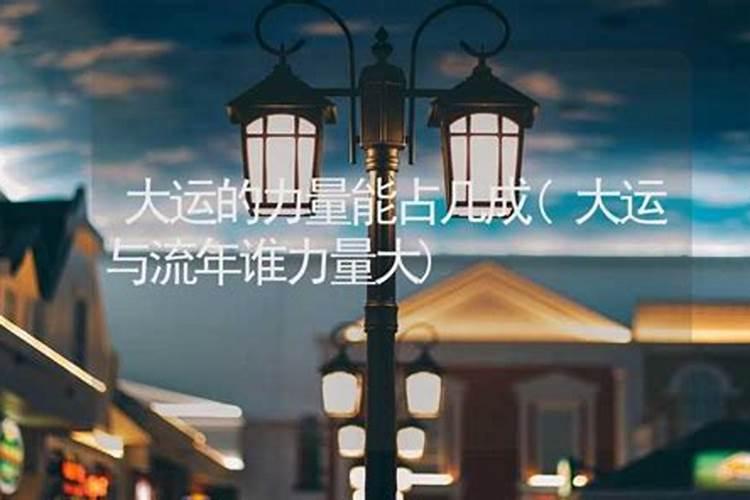 11月25号属狗出生日的命运解析