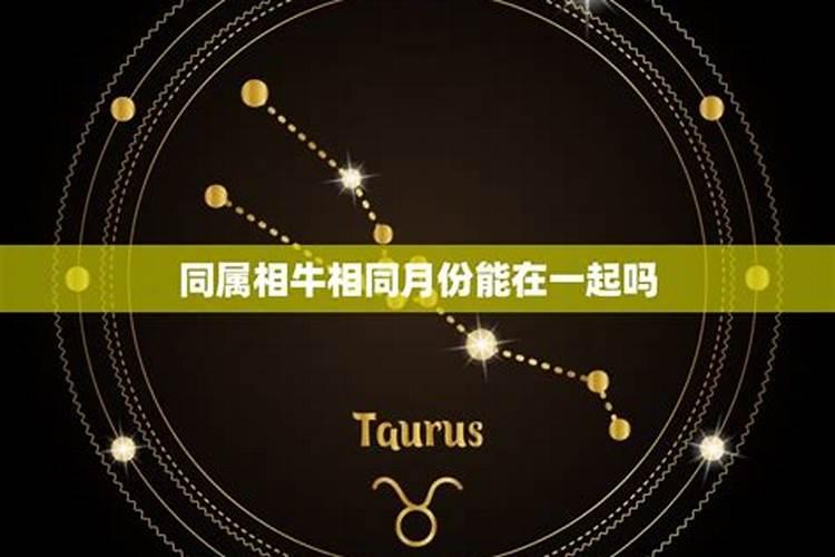 2023年属马人的全年运势1978年出生