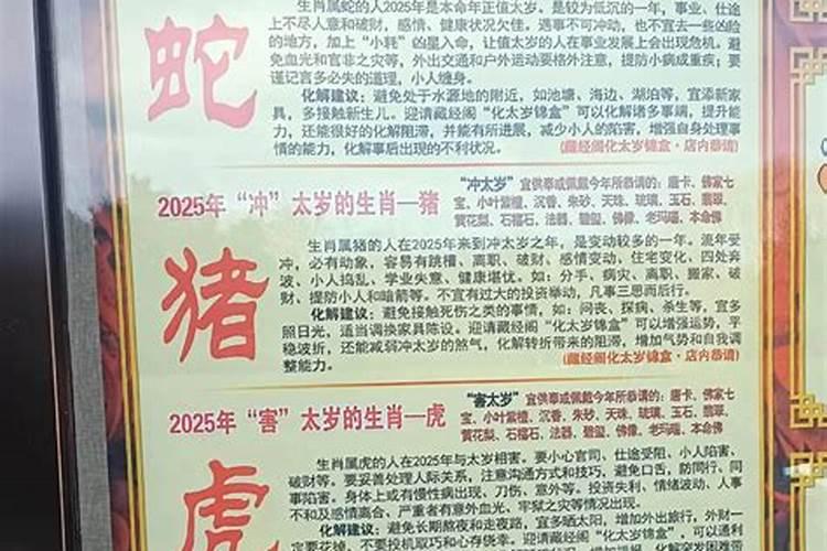 属蛇人犯太岁的化解方法
