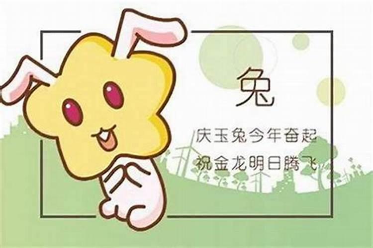 1951年属兔人2024年运势及运程详解