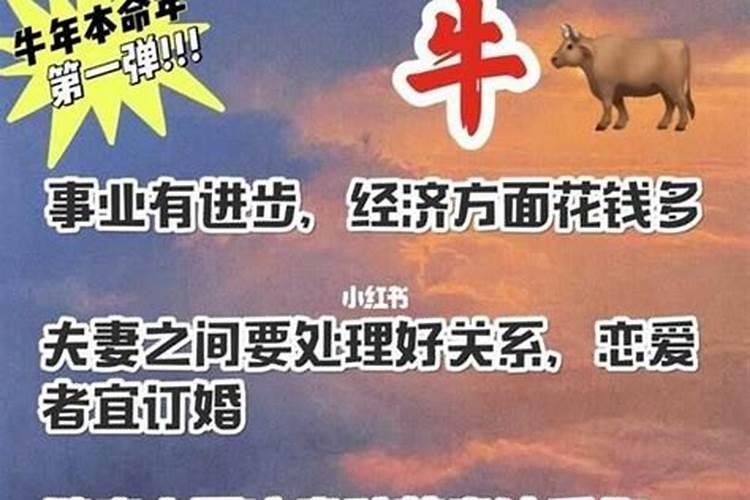 本命年运气反而更好 本命年反而运气好的人命相