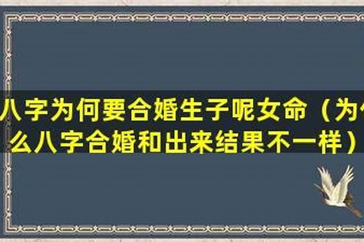 湖北松滋便宜的爽地,