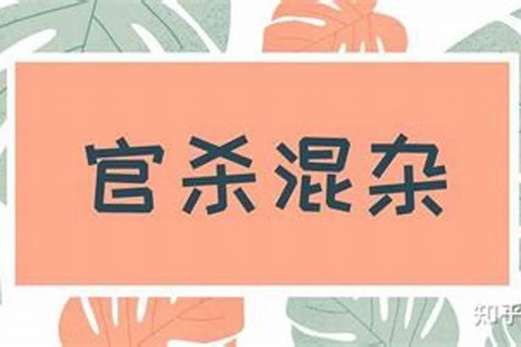 冬至南方吃什么