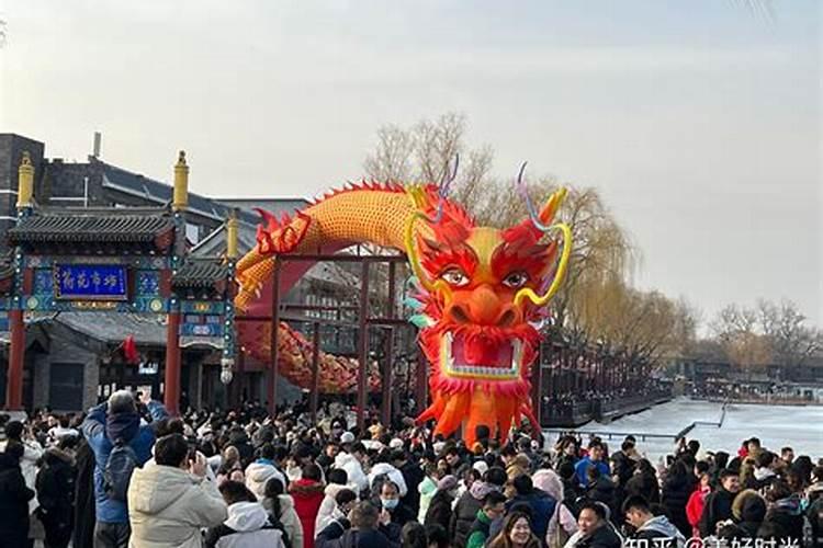 2025年属兔运势