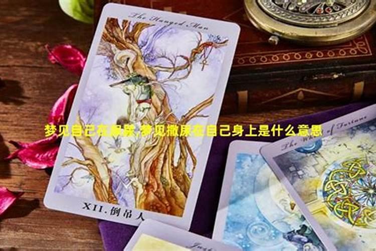 梦见姐姐拉屎在裤子里是什么意思？
