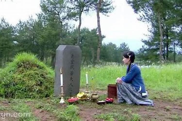 82年的狗2025年运势