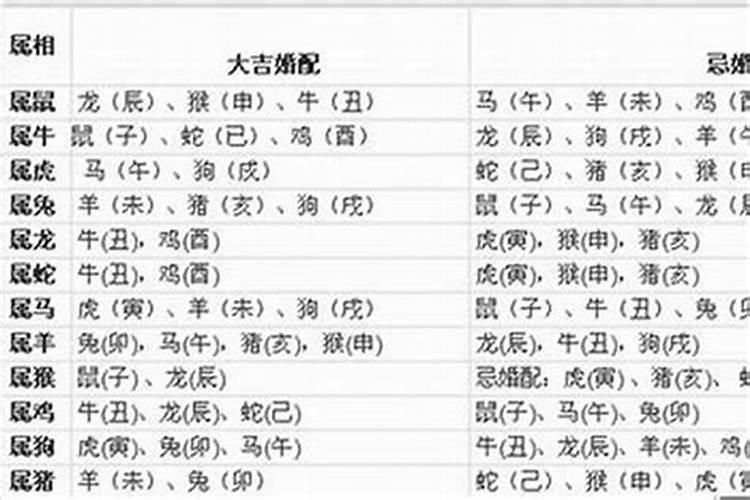 属狗的男孩和什么属相的女孩相陪