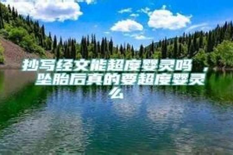 属狗的人2025年财运怎么样