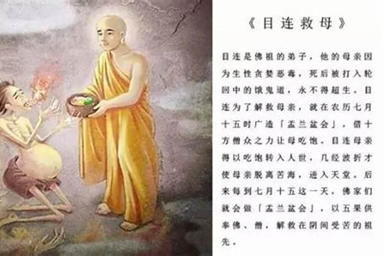 梦见马蜂窝梦到马蜂窝是什么意思
