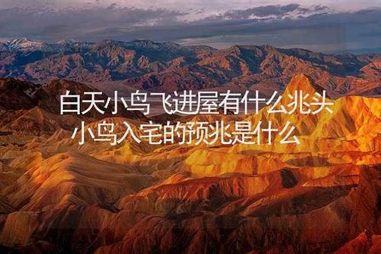 小鸟飞进屋有什么兆头？