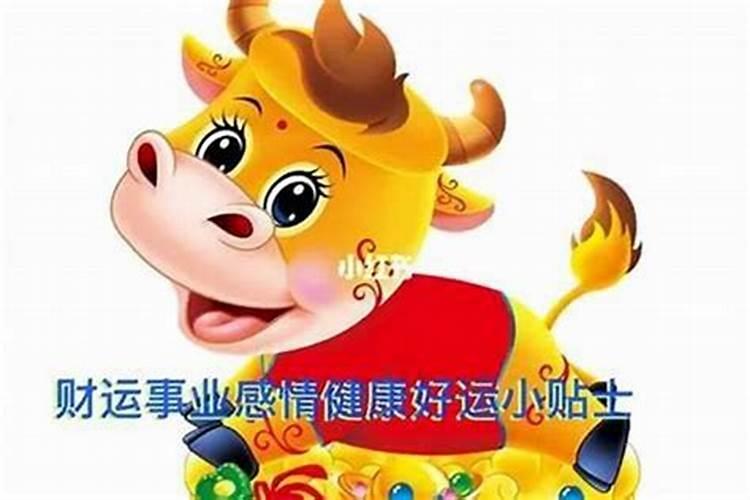 清明节为什么是阳历 清明节是阳历的原因