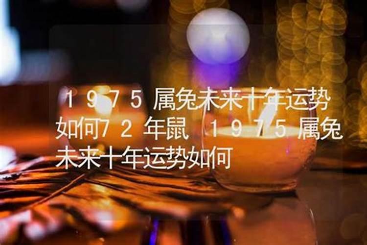1975属兔的2025年运势和财运怎么样