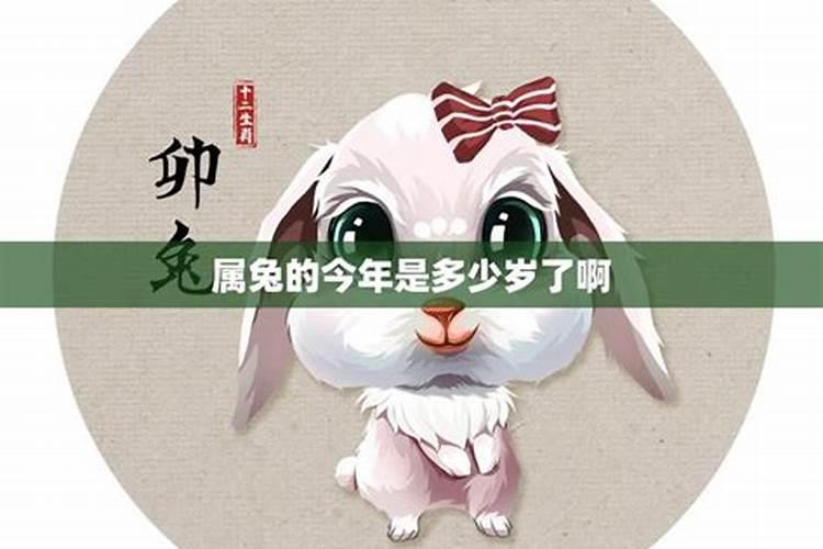 2025年属兔1975人的全年运势