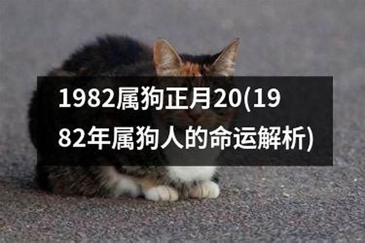 梦见死去的姐夫