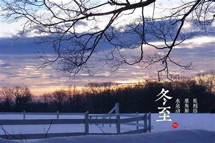 75的兔2025运势