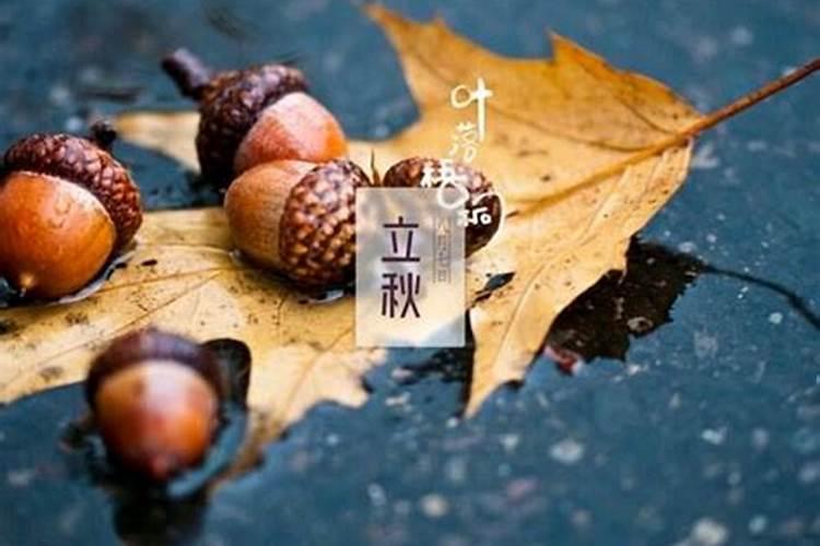 姻缘线怎么看 姻缘什么时候来？