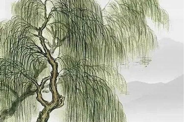 2025年五大生肖犯太岁