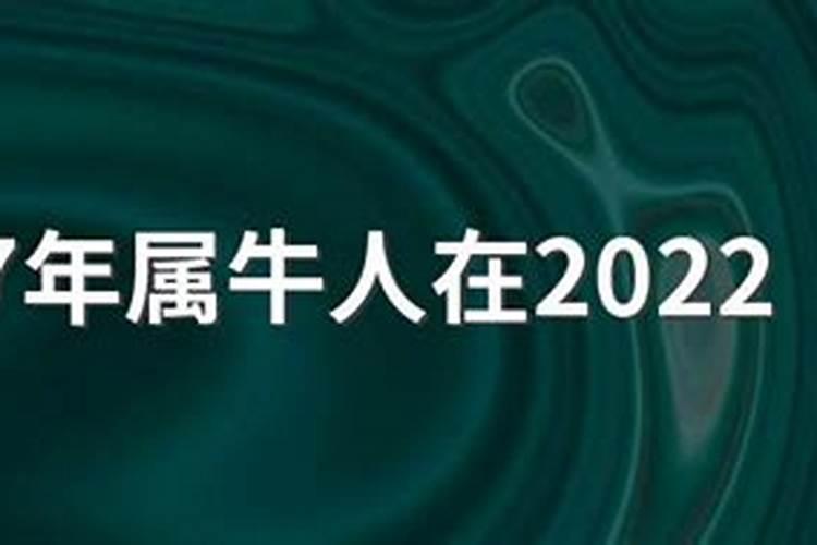 1997年属牛男士[28岁]2025年财运与事业运势全解,如何迎接变化？