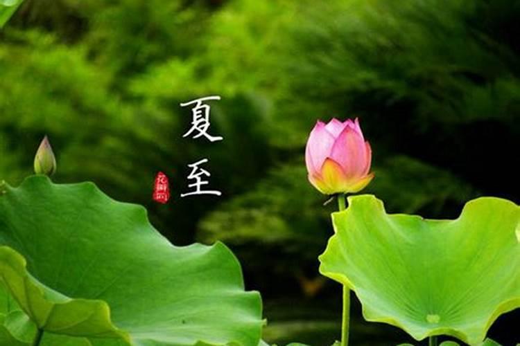 梦见死亡的姐夫