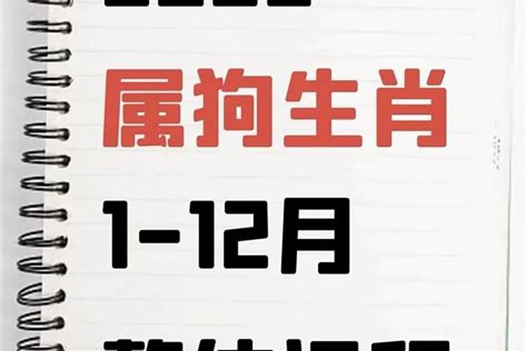 1946年出生属狗人2023年运势及运程