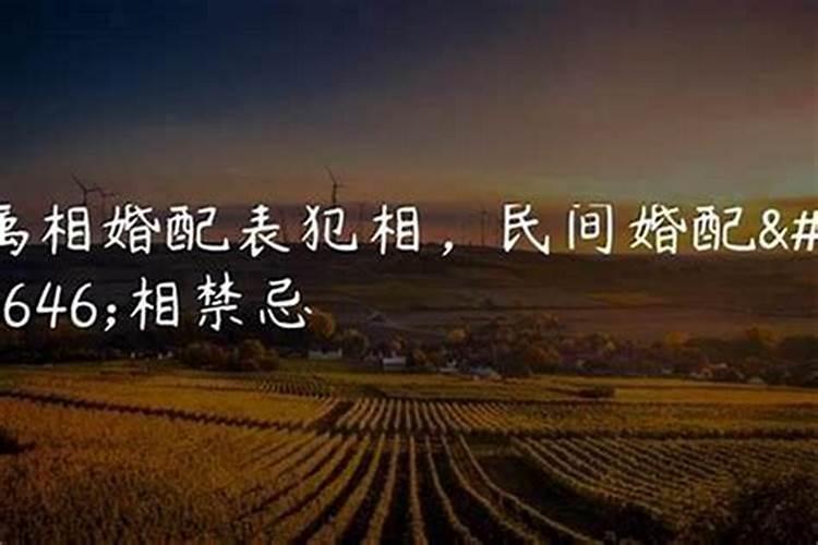 犯小人是怎么回事？