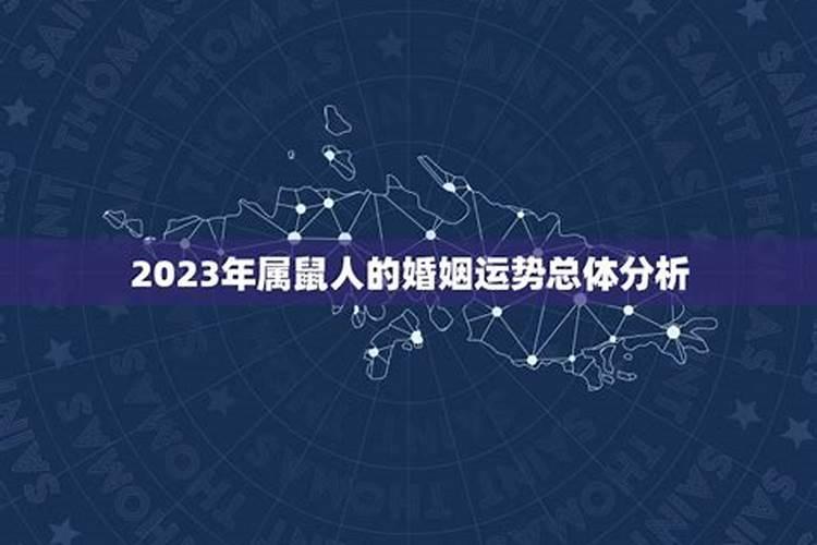 烧衣包里面有什么