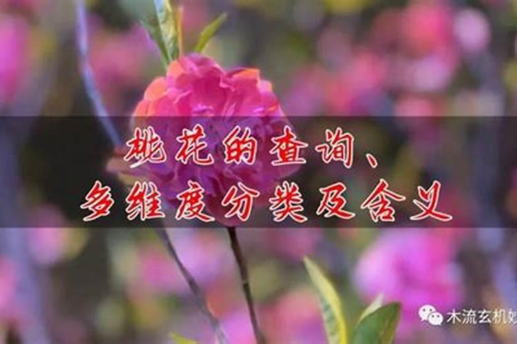 批八字1988年阴历9月14日晚上6点出生,属龙,男孩。姓那,名禄儒。百度...