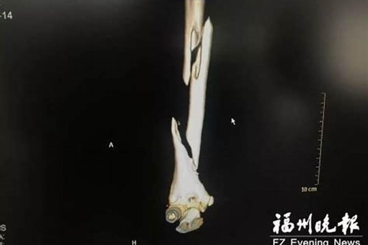 十月一上坟有什么讲究