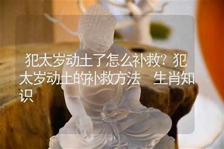 2025年属狗的犯太岁吗