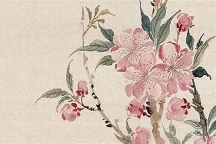 什么是童子命？怎么破解？哪里大师可以破解？