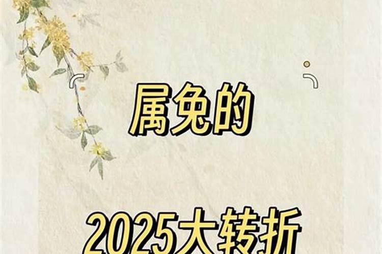 63年兔2024年每月运势及运程如何