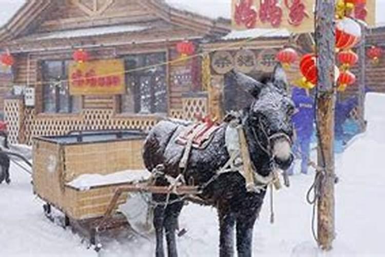 易经里面有那些不好的运气都被称什么如魔窟运等