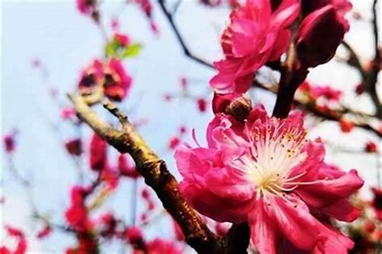 怎样拆散两个人？