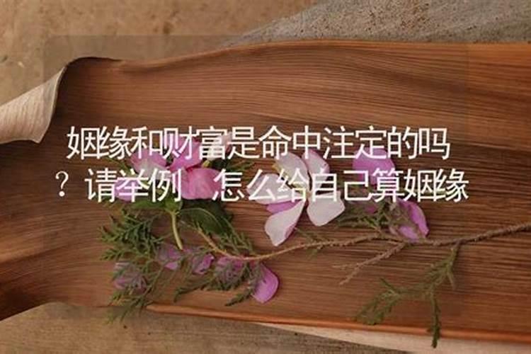 大师算姻缘一般怎么说,大师算姻缘