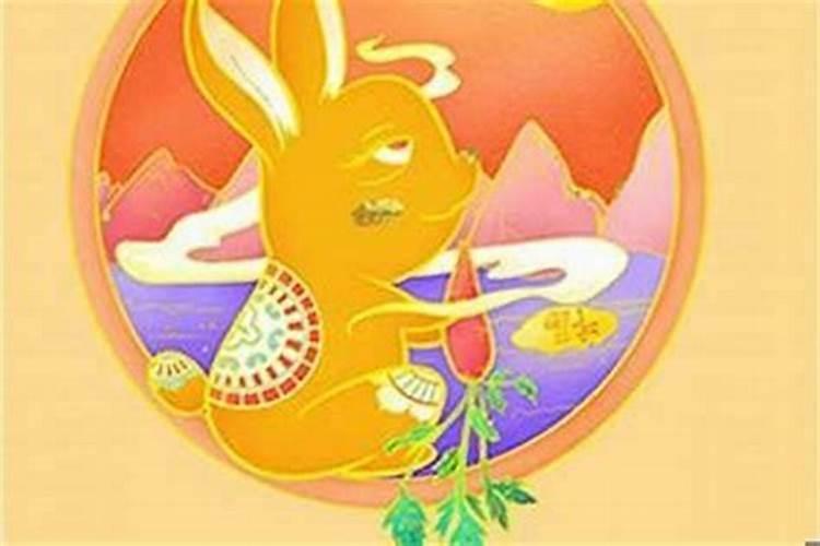 属兔人在哪些年犯太岁