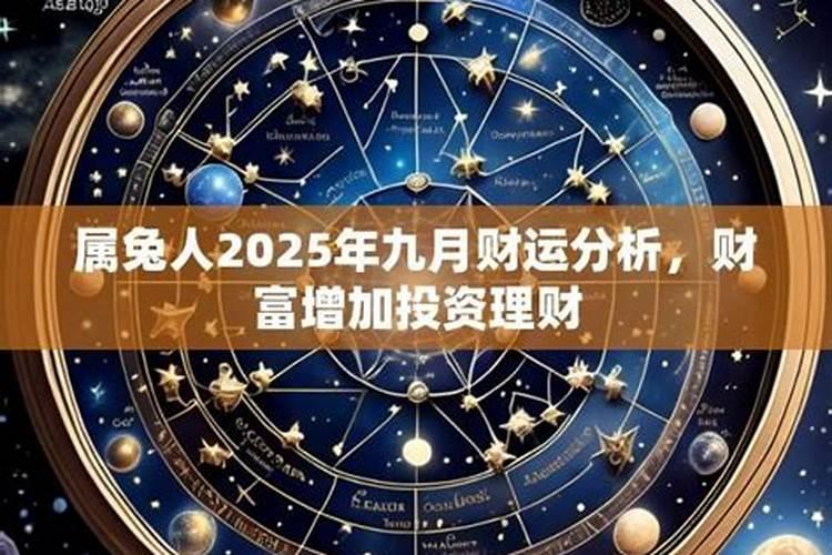 属兔怎么增加财运
