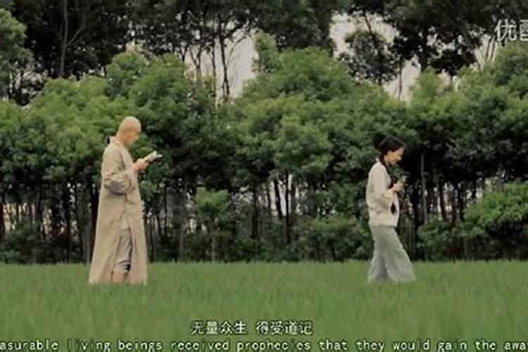 81年属鸡2025年运势完整版