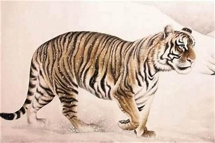 属鸡81年农历12月13日出生的命运