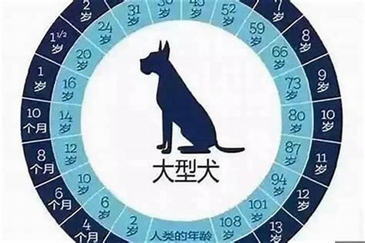 2024年属狗多大了虚岁生肖狗一年十二个月的出生运程