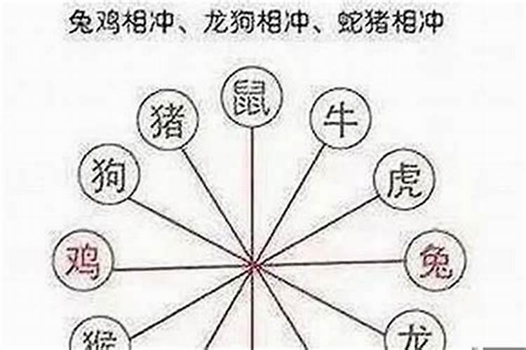 95猪男和98年虎女八字合不合