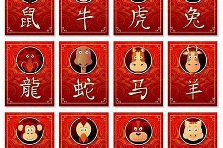 属鸡的人和属鼠是否相冲相克？