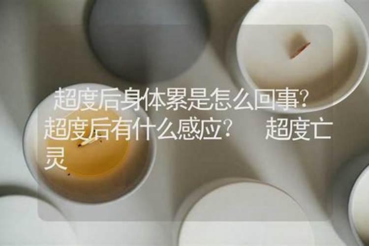 年份属马人2024年整体运势及运程