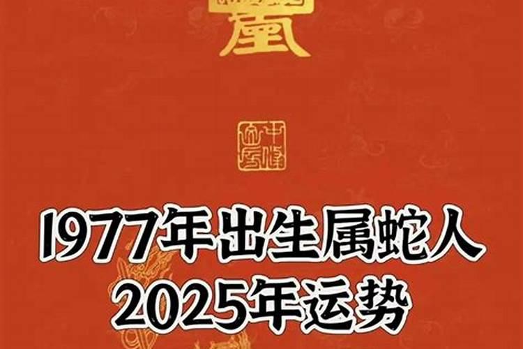 寂静法师:怎样念佛