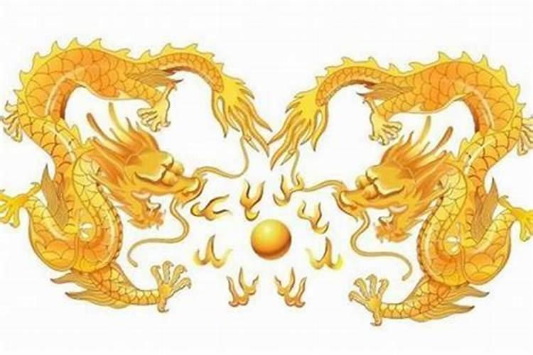 为什么两条龙不能结婚夫妻都是属龙会相克吗