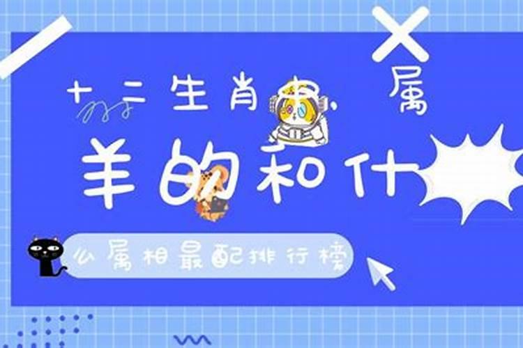 属猪的,1971.11,8的星座是什么